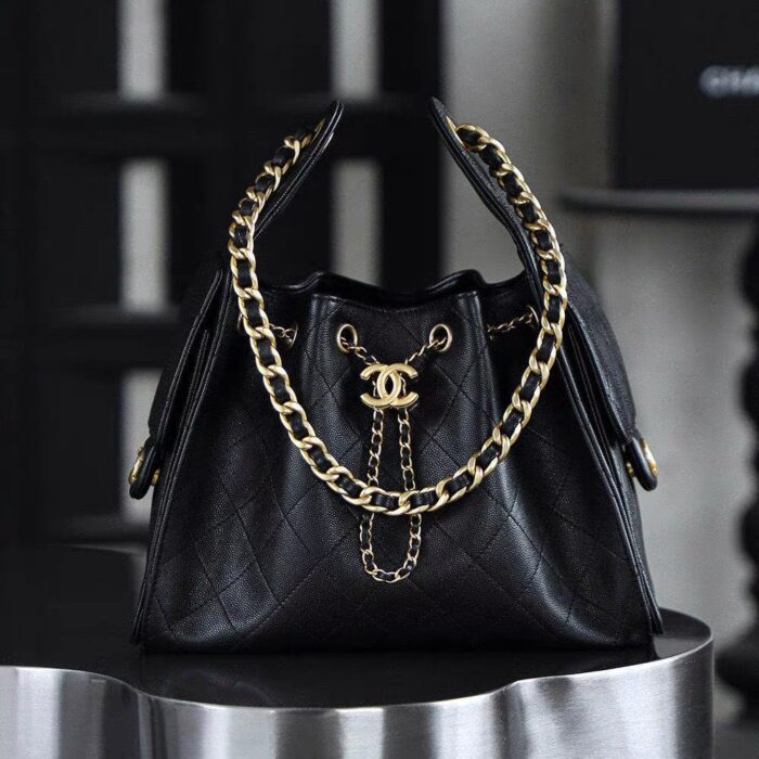 CHANEL 25 Small Handbag1