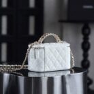 CHANEL Vanity with Chain1