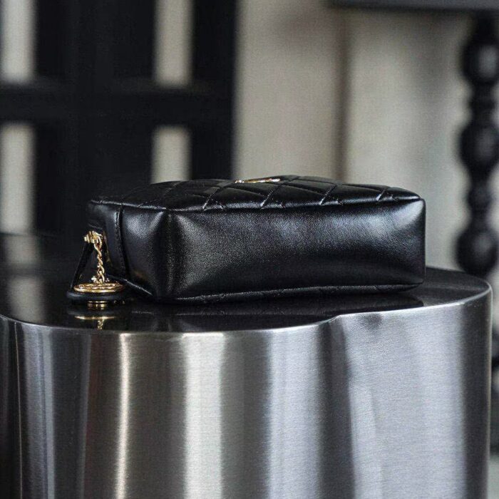 Chanel Mini Camera Case3