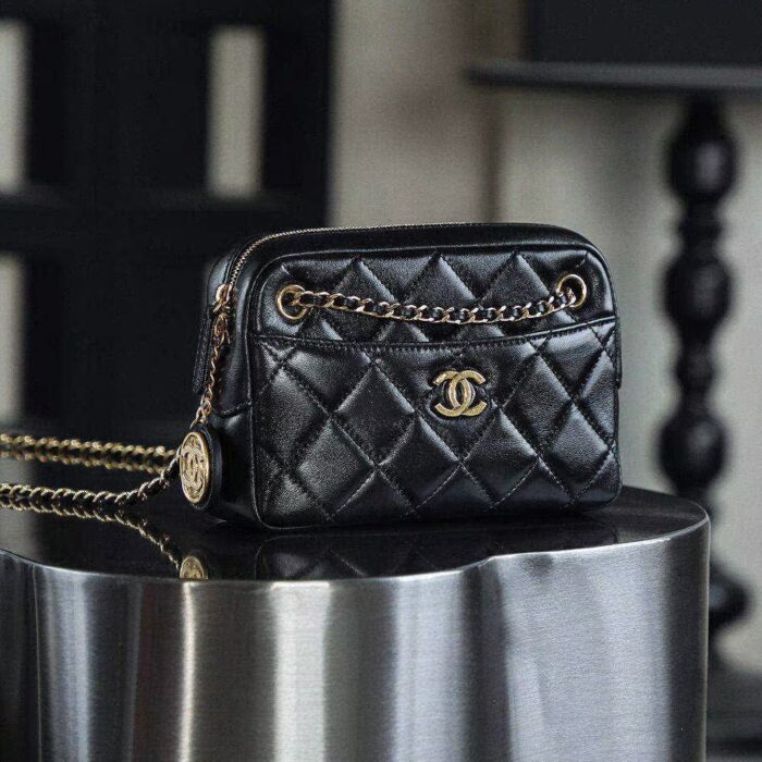 Chanel Mini Camera Case4