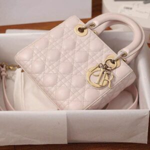 Dior Small Lady Dior Bagpdf